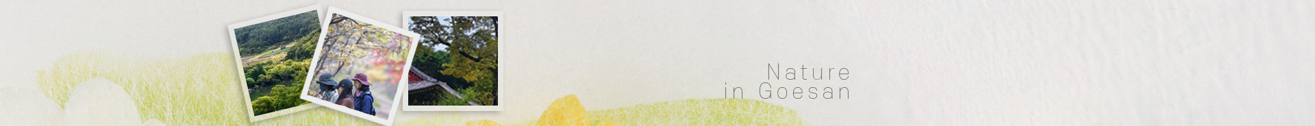 자연